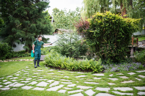 Best Wasp Removal Services  in Southwood Acres, CT