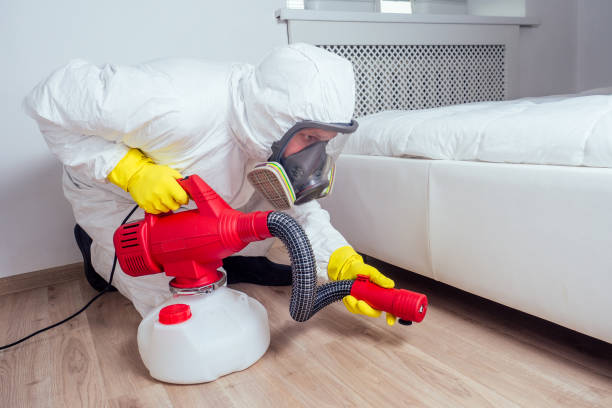 Best Pest Control Treatment  in Southwood Acres, CT