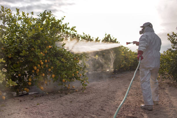 Best Residential Pest Control  in Southwood Acres, CT