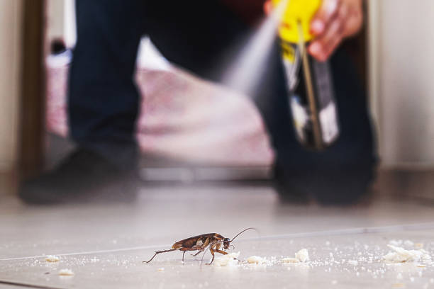 Pest Control for Restaurants in Southwood Acres, CT