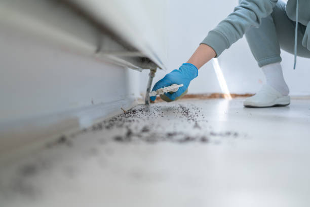 Best Pest Prevention Services  in Southwood Acres, CT